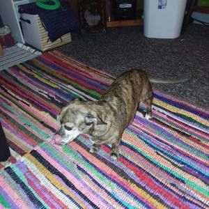 Meet your Posher, Lyda